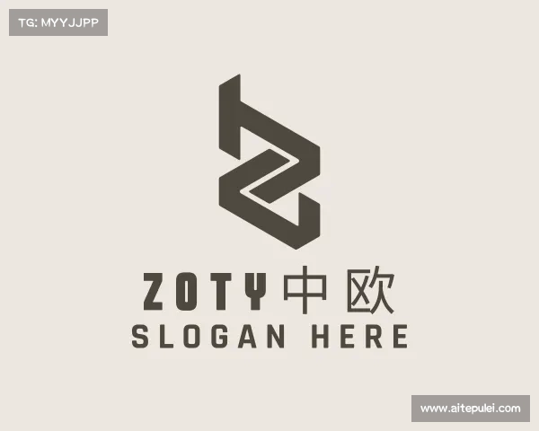 介绍zoty中欧